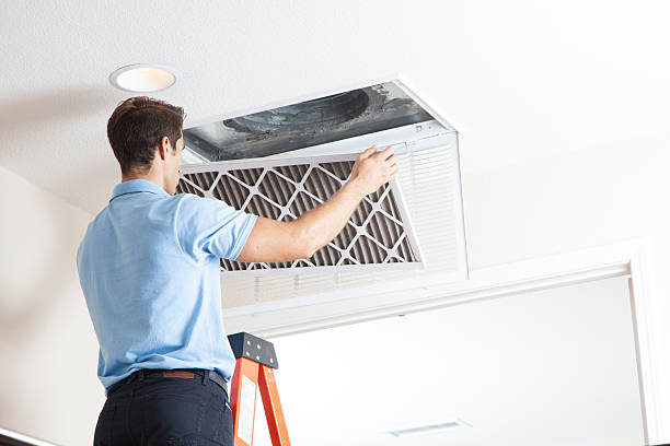 Best HVAC Air Duct Cleaning  in Carleton, MI